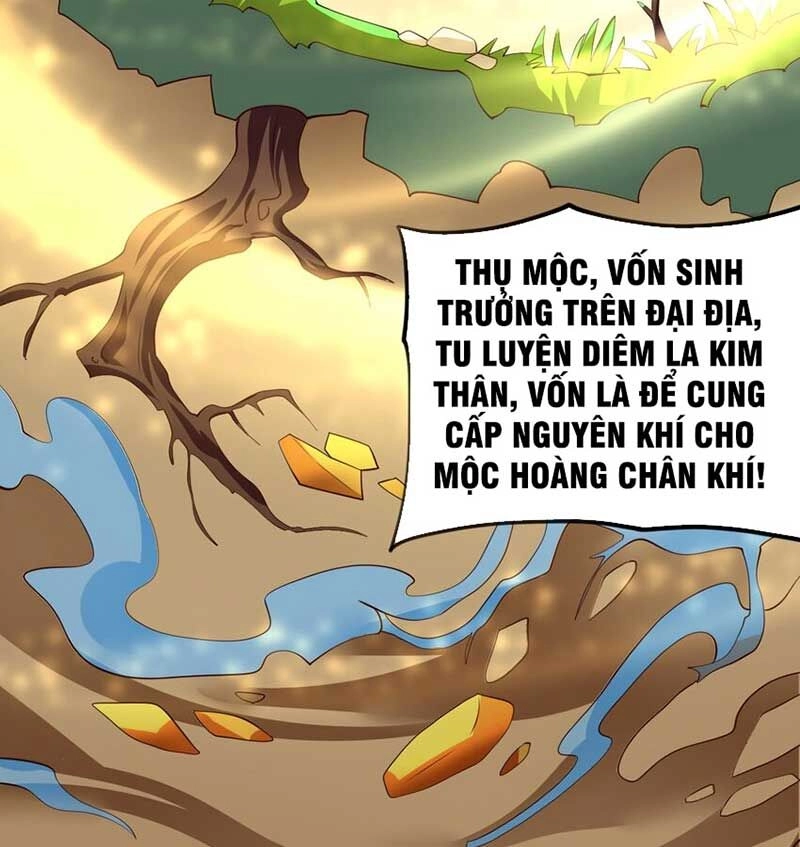 Vĩnh Sinh Chapter 70 - 34