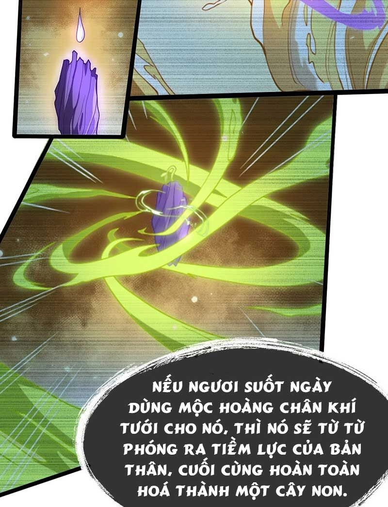 Vĩnh Sinh Chapter 74 - 13