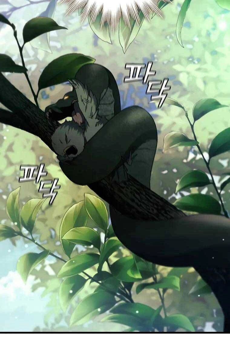 Thực Long Ma Pháp Sư Chapter 20 - 50