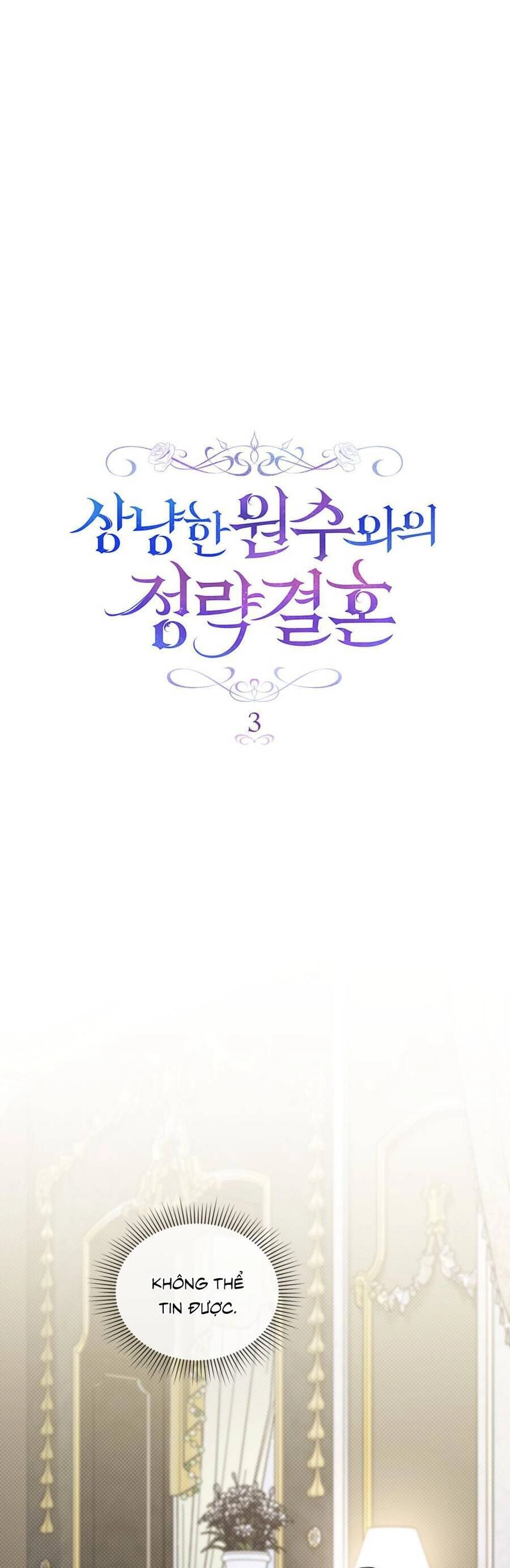 Cuộc Hôn Nhân Chính Trị Với Kẻ Thù Dịu Dàng Chapter 3 - 11