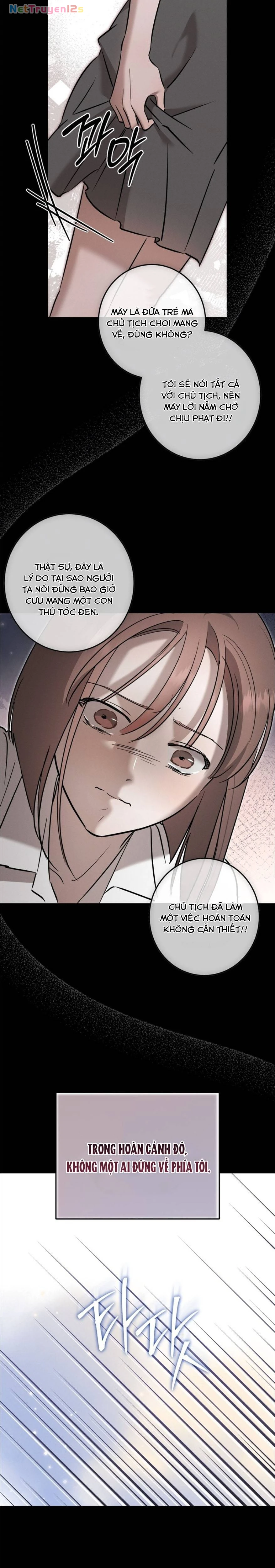 Hôn nhân Cổ điển Chapter 33 - 4