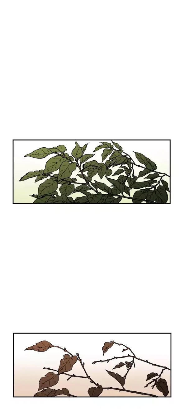 Bố Vô Song Chapter 30 - 37