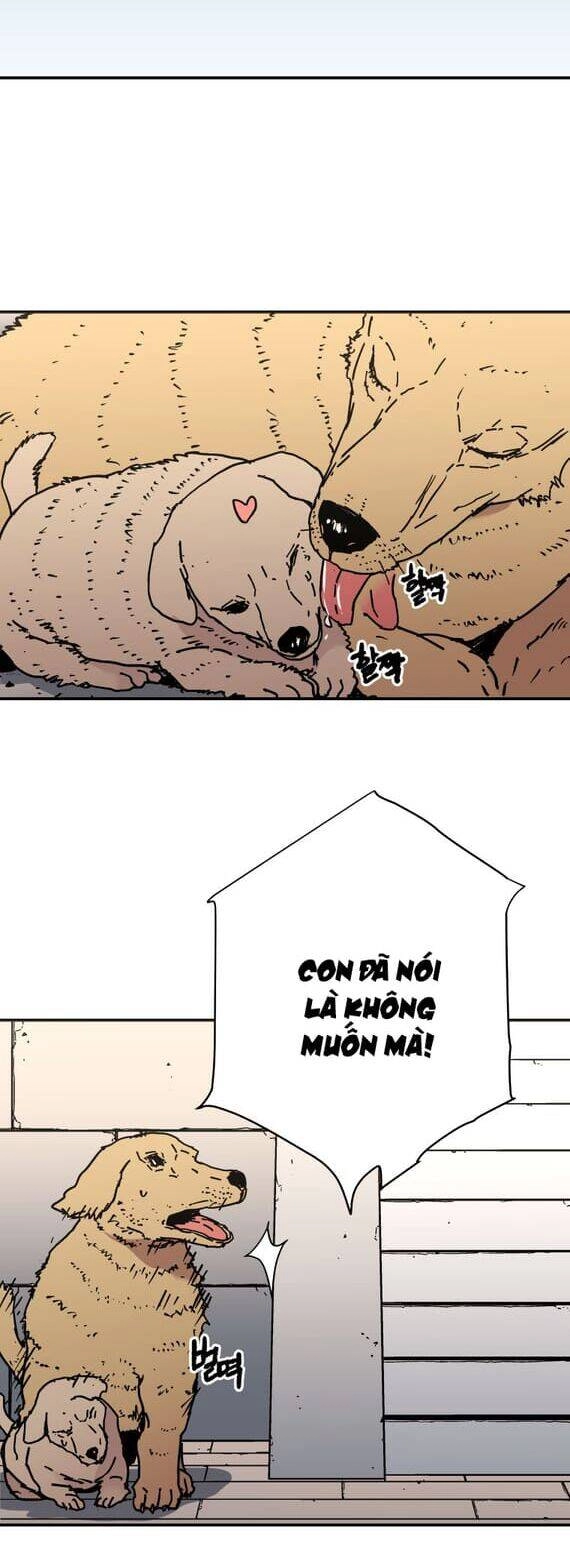 Bố Vô Song Chapter 148 - 31