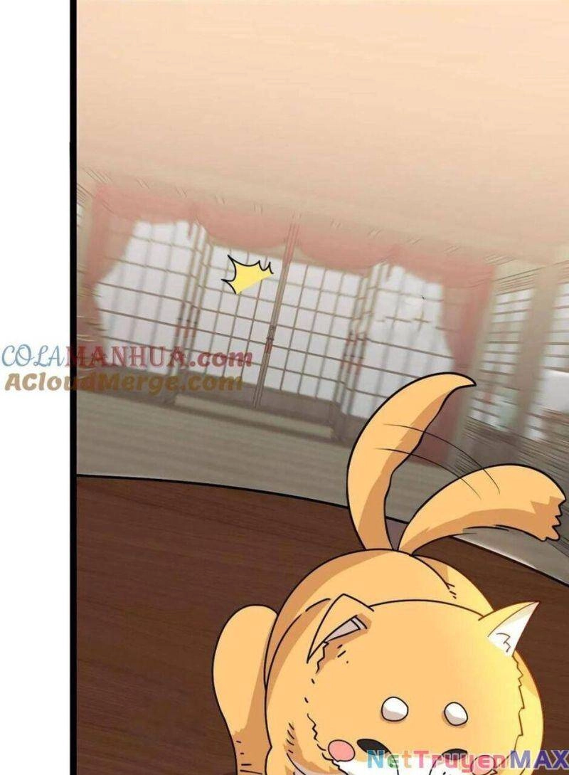 Thiên Khải Bại Gia Chapter 14 - 8