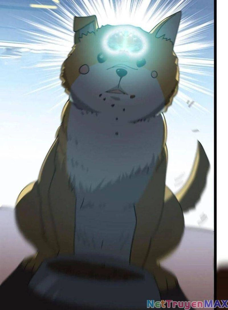 Thiên Khải Bại Gia Chapter 14 - 10