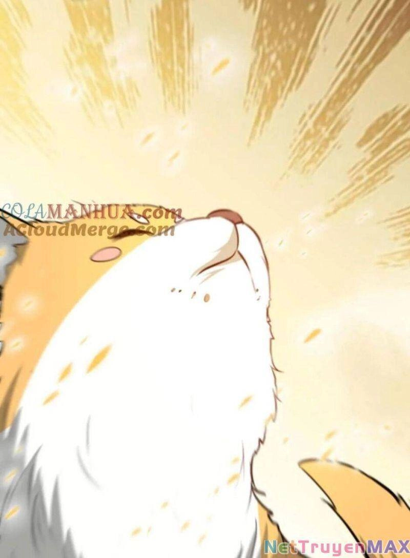 Thiên Khải Bại Gia Chapter 14 - 12