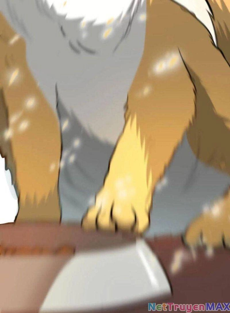 Thiên Khải Bại Gia Chapter 14 - 13