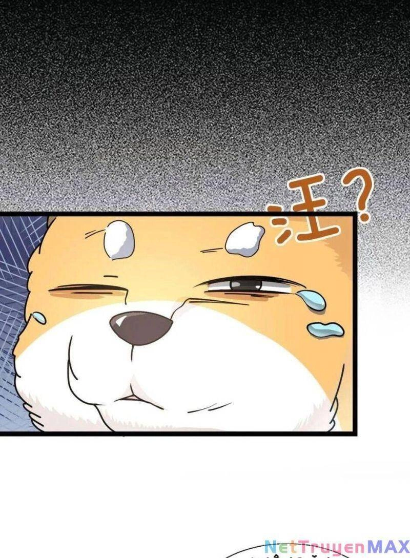 Thiên Khải Bại Gia Chapter 14 - 17