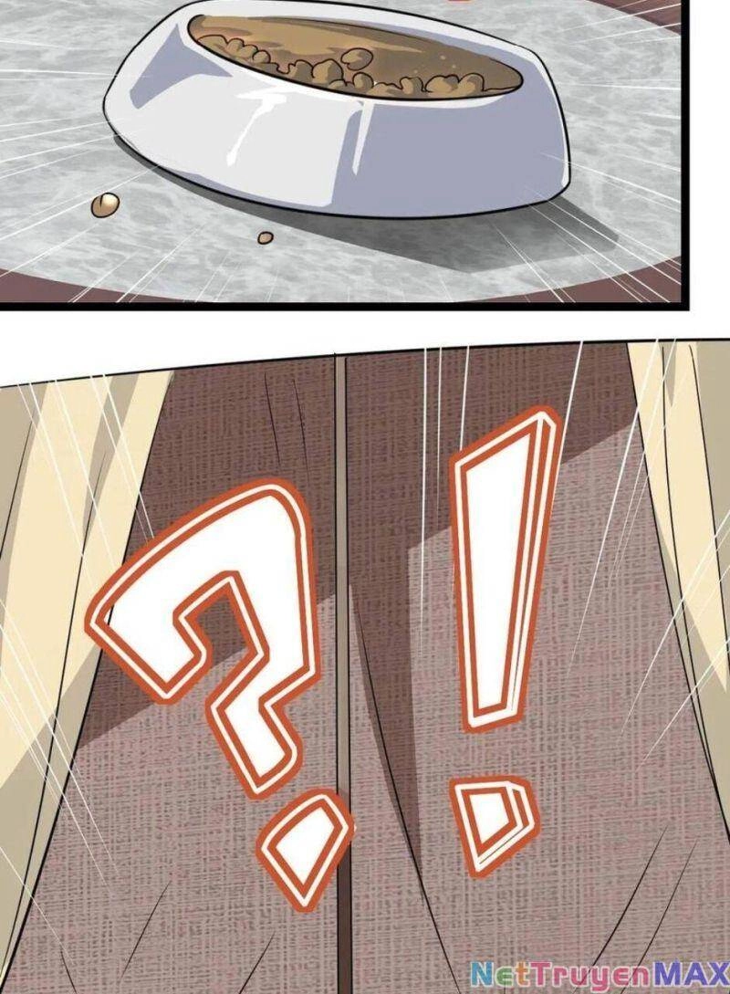 Thiên Khải Bại Gia Chapter 15 - 9