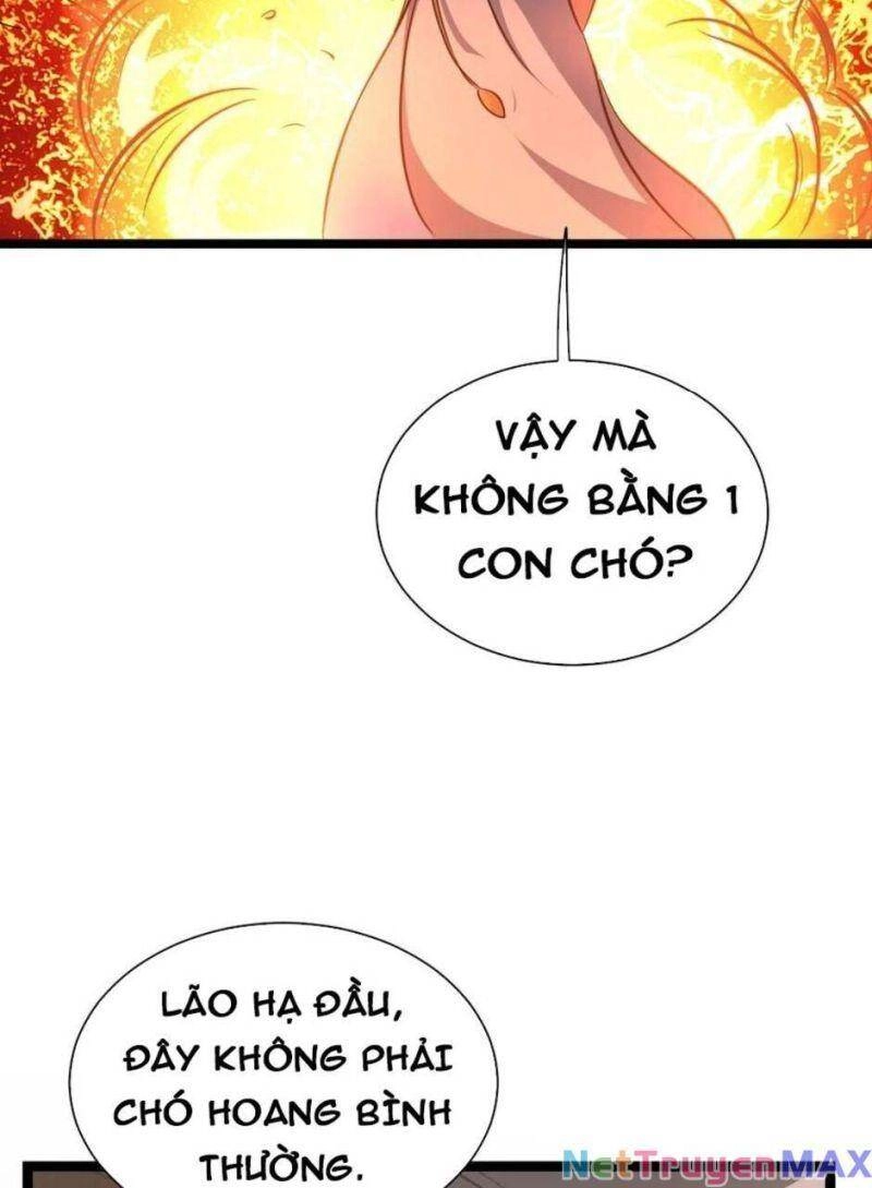 Thiên Khải Bại Gia Chapter 15 - 21