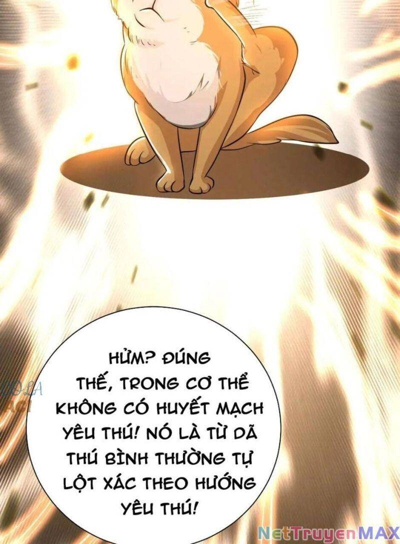 Thiên Khải Bại Gia Chapter 15 - 24