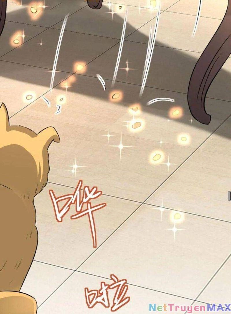 Thiên Khải Bại Gia Chapter 15 - 49