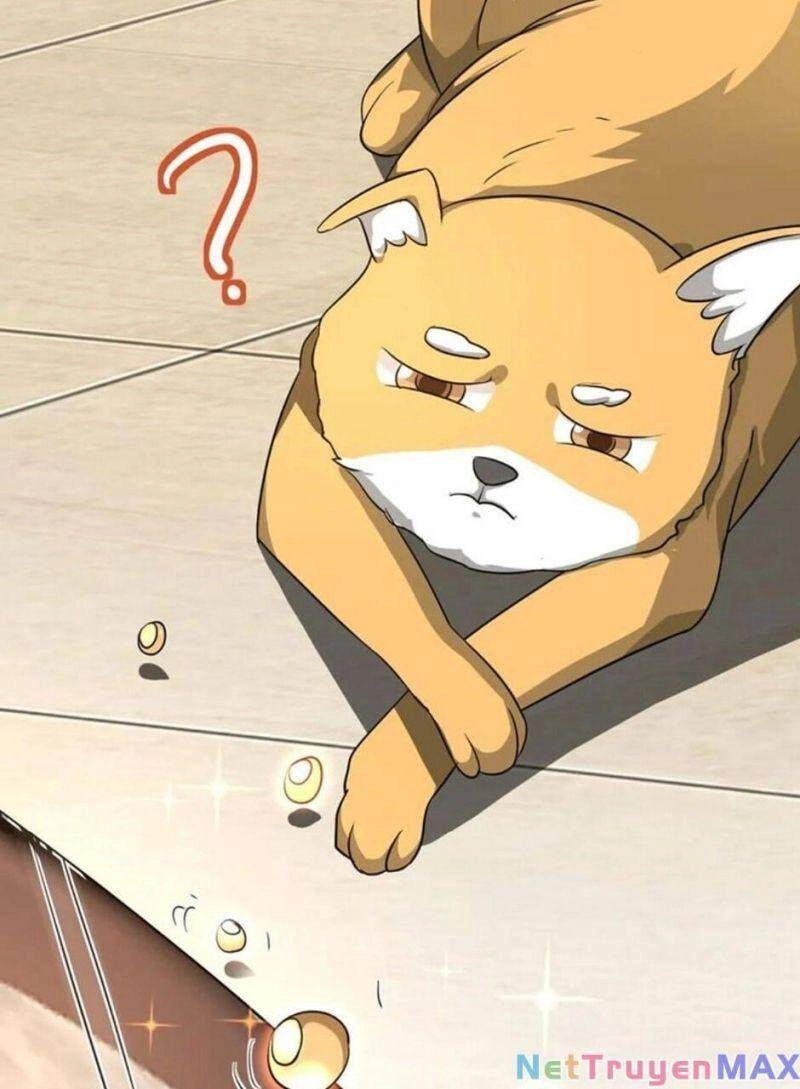 Thiên Khải Bại Gia Chapter 17 - 9