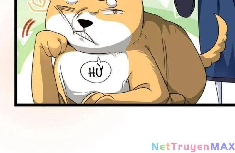 Thiên Khải Bại Gia Chapter 17 - 16