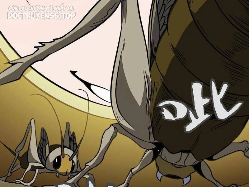 Thiên Khải Bại Gia Chapter 137 - 17