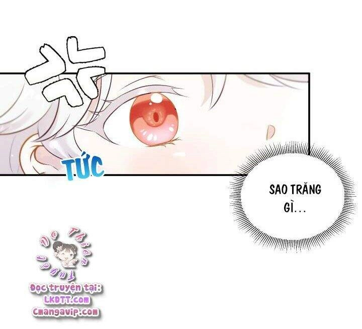 Công Chúa Xấu Xa Chapter 1 - 33