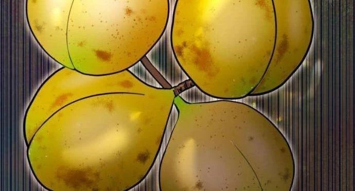 Từ Bỏ Tất Cả Để Đi Bán Coca Chapter 8 - 178