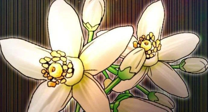Từ Bỏ Tất Cả Để Đi Bán Coca Chapter 8 - 180