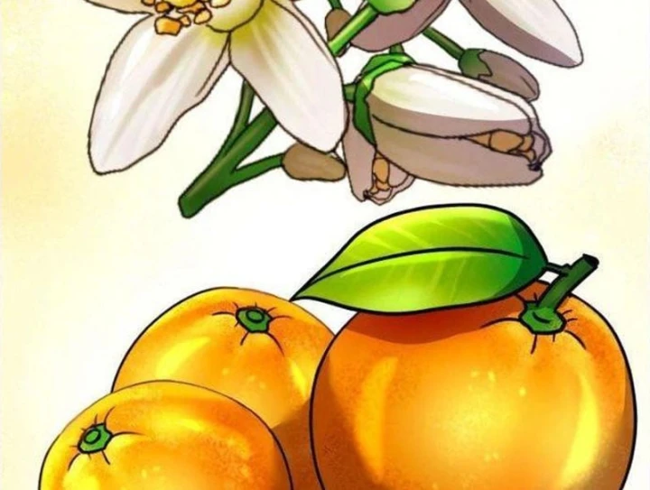 Từ Bỏ Tất Cả Để Đi Bán Coca Chapter 9 - 59