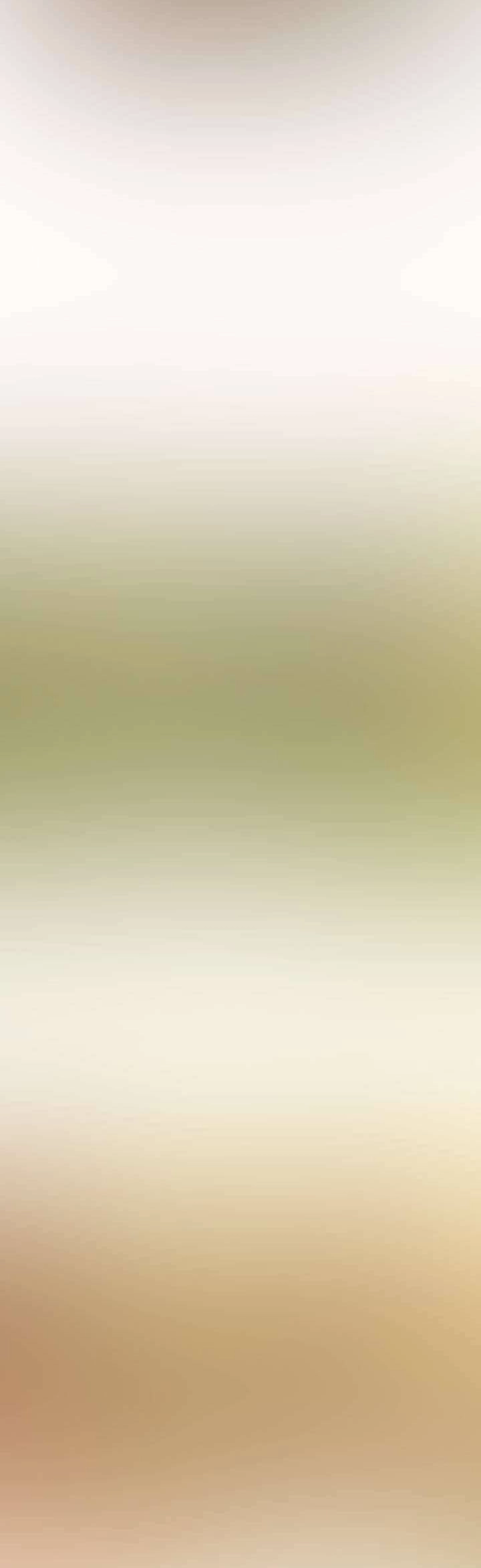 Tôi Vô Tình Cứu Được Em Trai Nam Chính Chapter 69 - 24