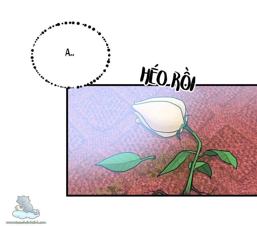 Người Thừa Kế Chapter 6 - 31