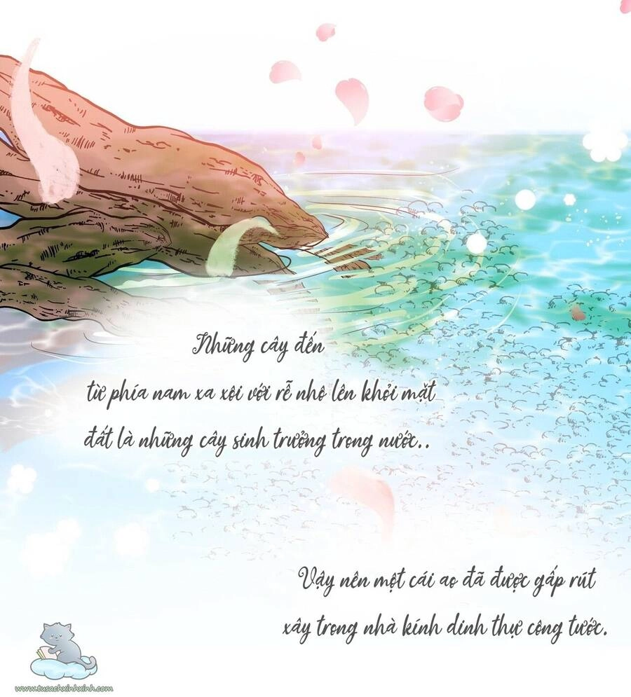 Người Thừa Kế Chapter 9 - 13