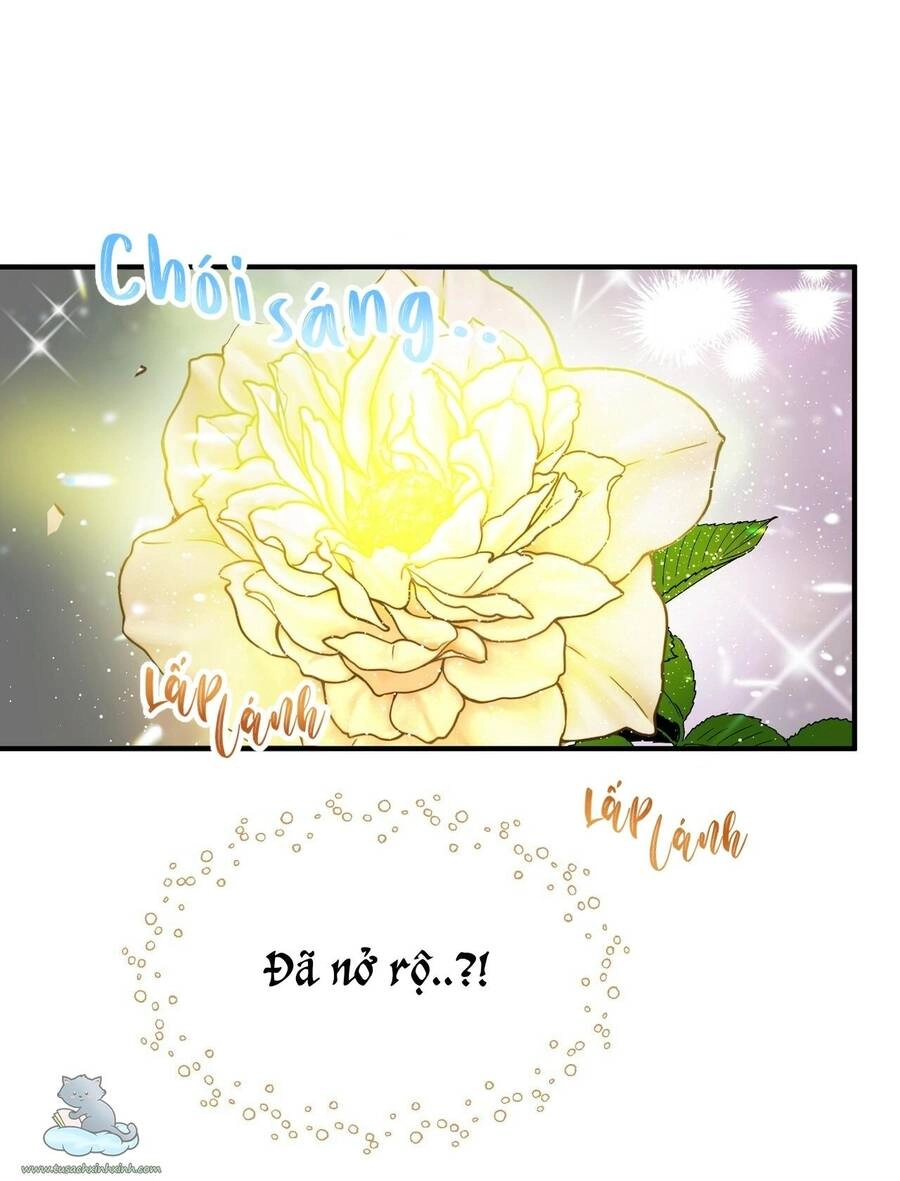 Người Thừa Kế Chapter 14 - 56