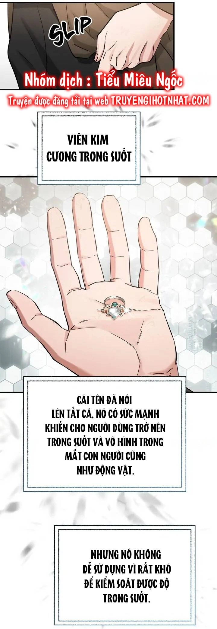 Người Thừa Kế Chapter 52 - 26