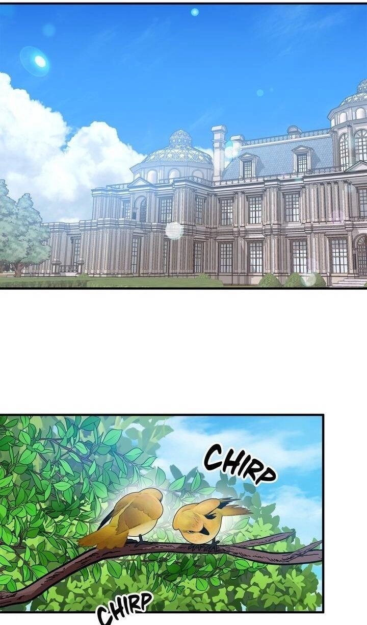 Người Thừa Kế Chapter 70 - 17