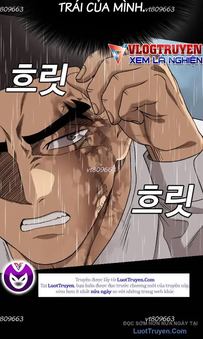 Người Xấu Chapter 275 - 13