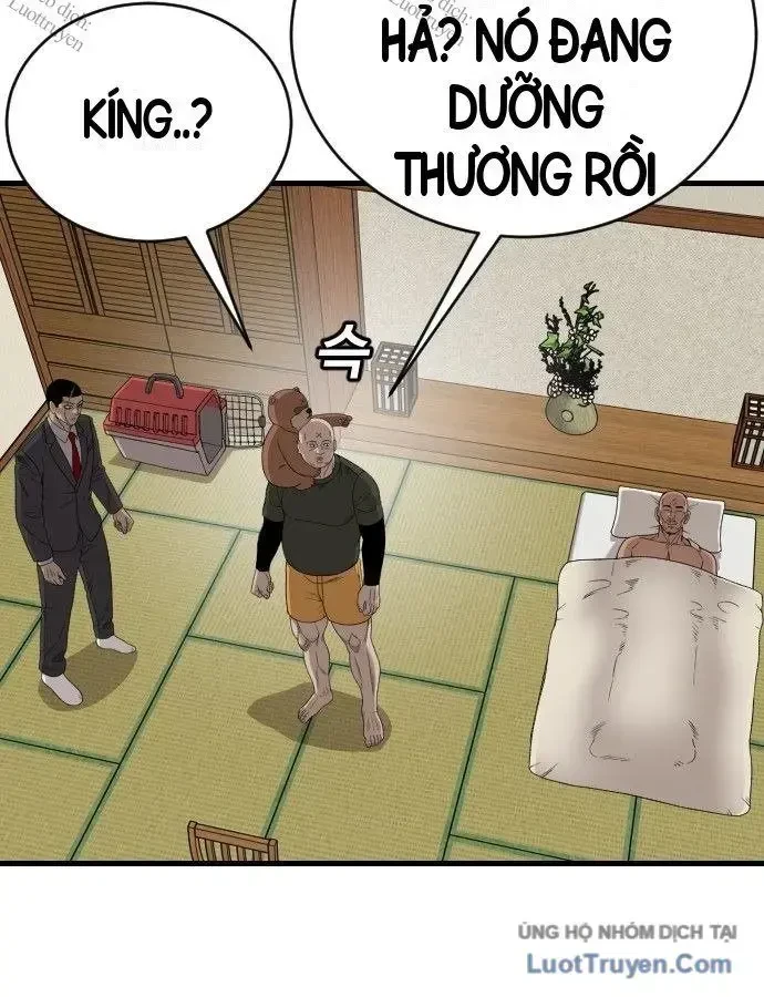 Người Xấu Chapter 310 - 31