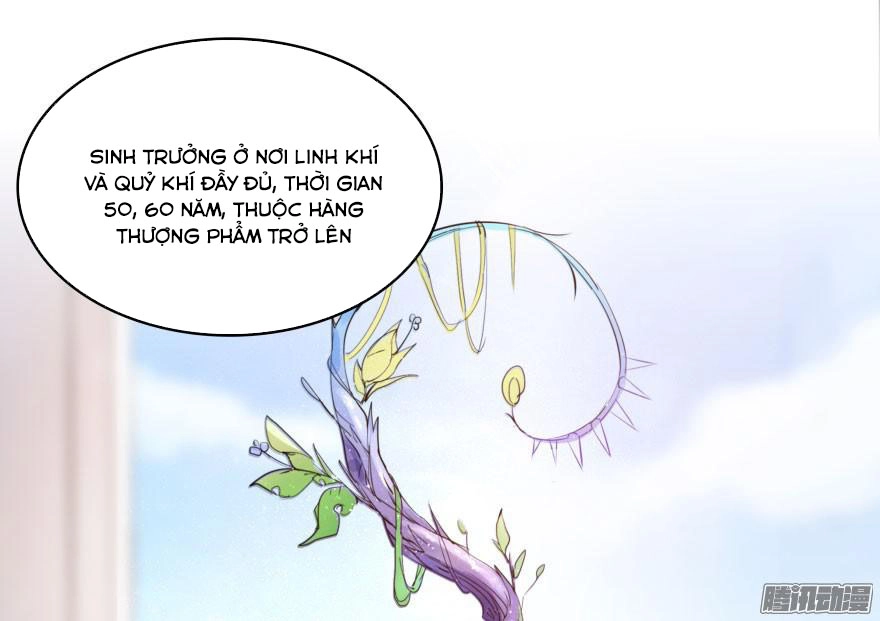 Tu Chân Nói Chuyện Phiếm Quần Chapter 20 - 55