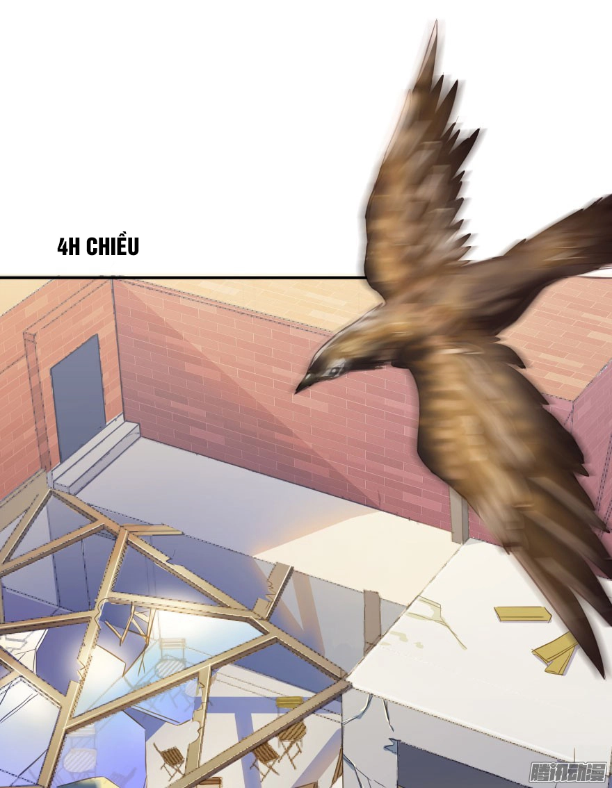 Tu Chân Nói Chuyện Phiếm Quần Chapter 29 - 39