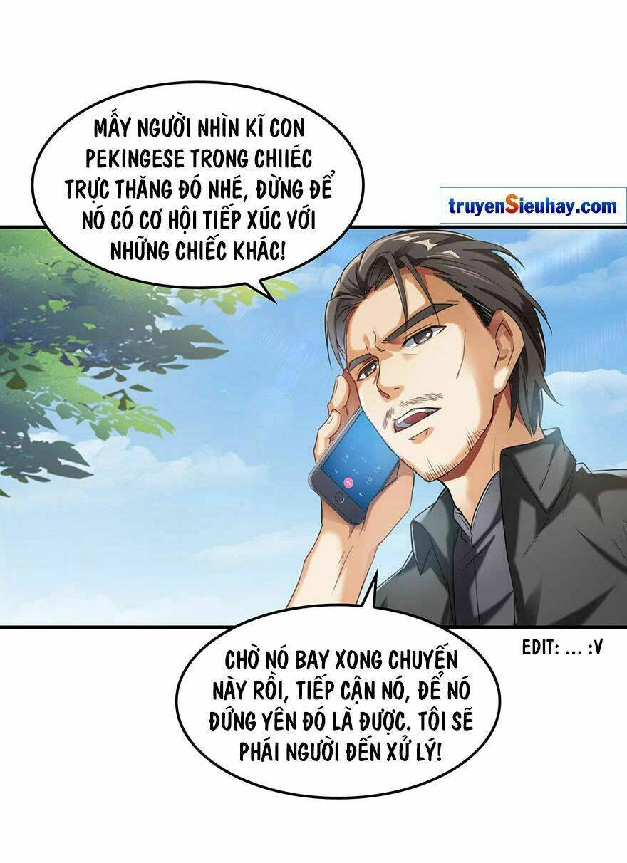 Tu Chân Nói Chuyện Phiếm Quần Chapter 133 - 33