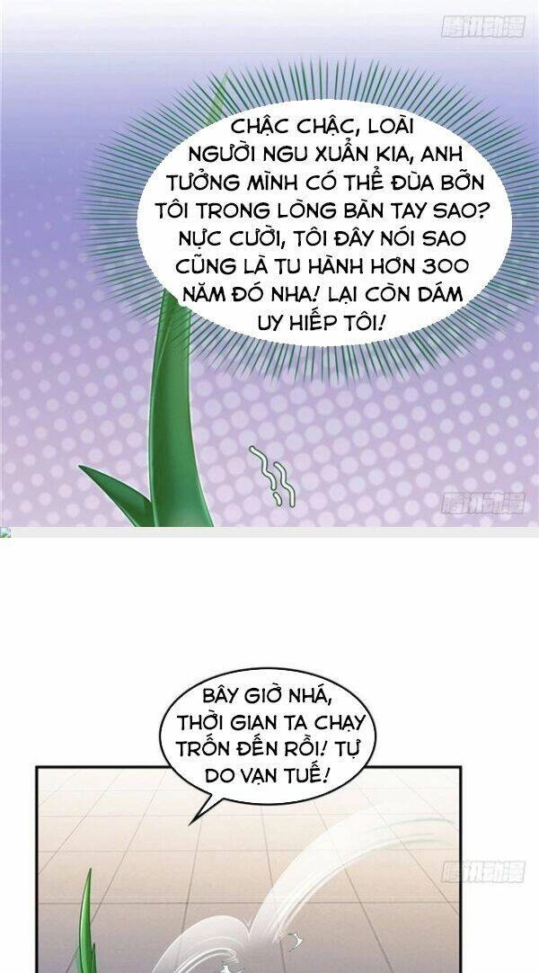 Tu Chân Nói Chuyện Phiếm Quần Chapter 151 - 13