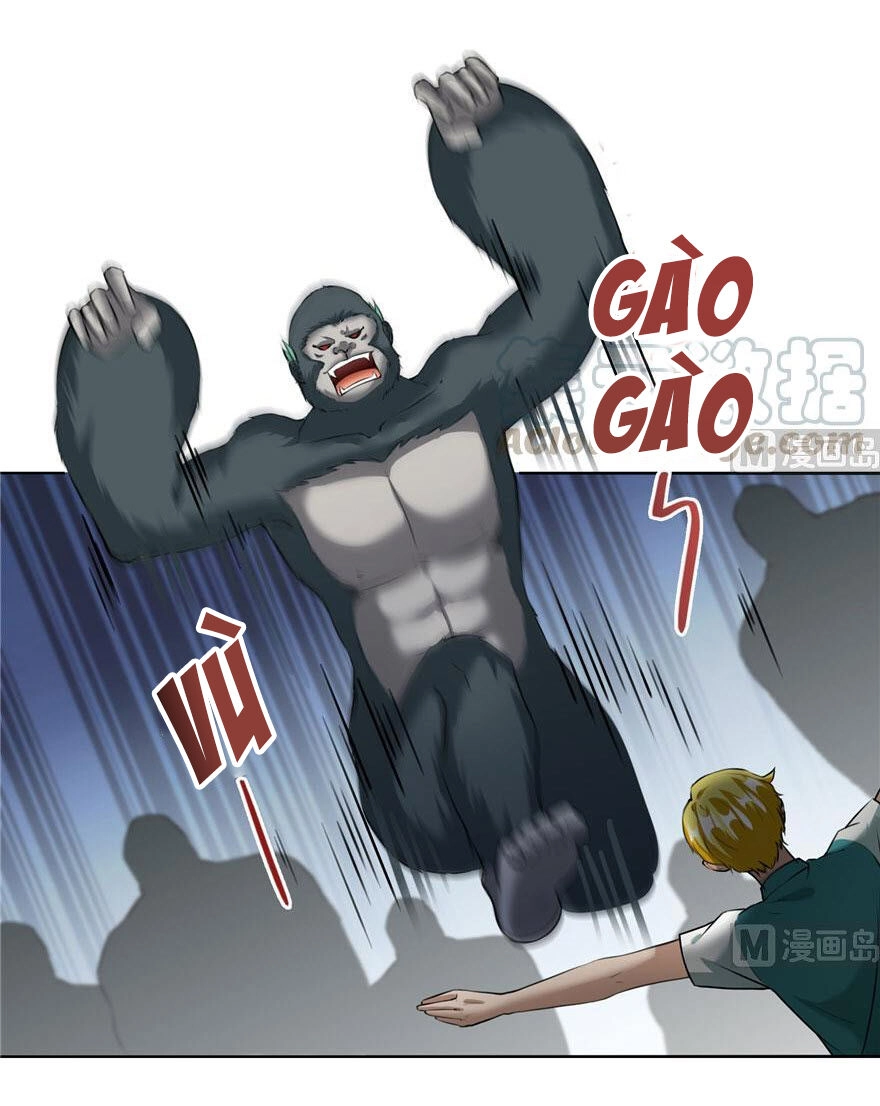 Tu Chân Nói Chuyện Phiếm Quần Chapter 176 - 1