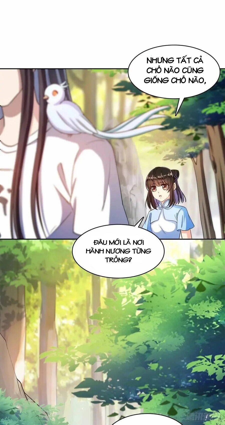 Tu Chân Nói Chuyện Phiếm Quần Chapter 405 - 13