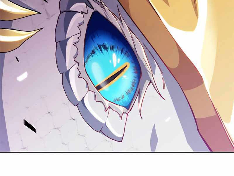 Công Tước Bạch Long Chapter 27 - 12