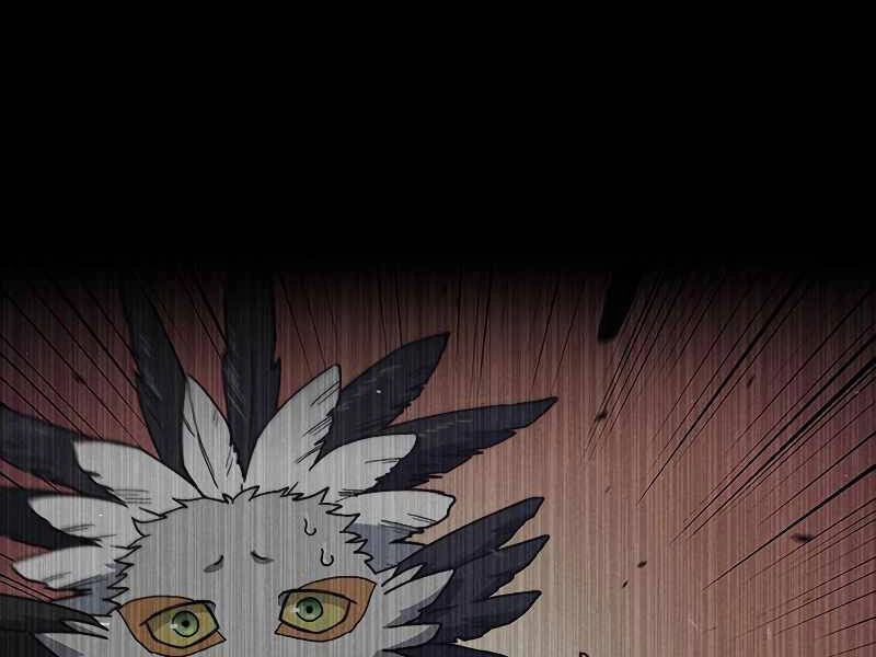 Công Tước Bạch Long Chapter 27 - 144