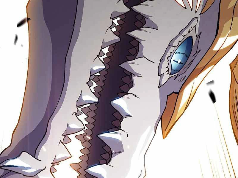 Công Tước Bạch Long Chapter 27 - 195