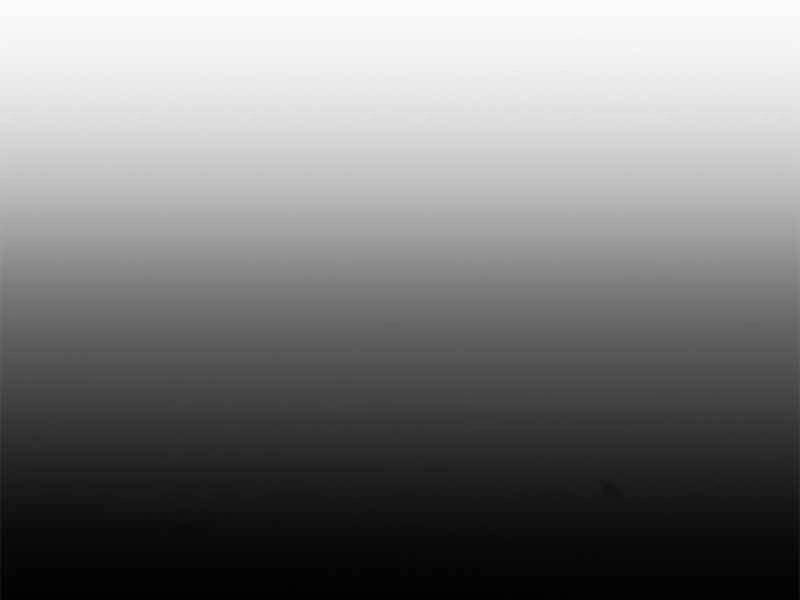 Công Tước Bạch Long Chapter 35 - 248