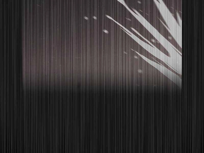 Công Tước Bạch Long Chapter 36 - 215