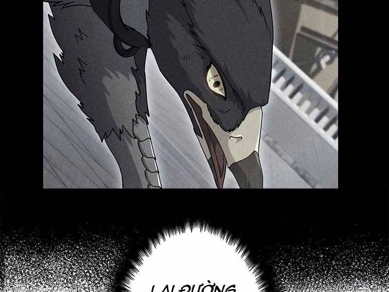 Công Tước Bạch Long Chapter 44 - 256