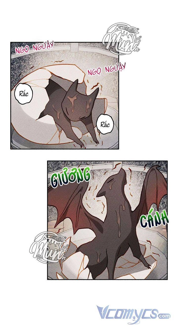 Nuôi Dưỡng Một Hắc Long Chapter 1 - 10