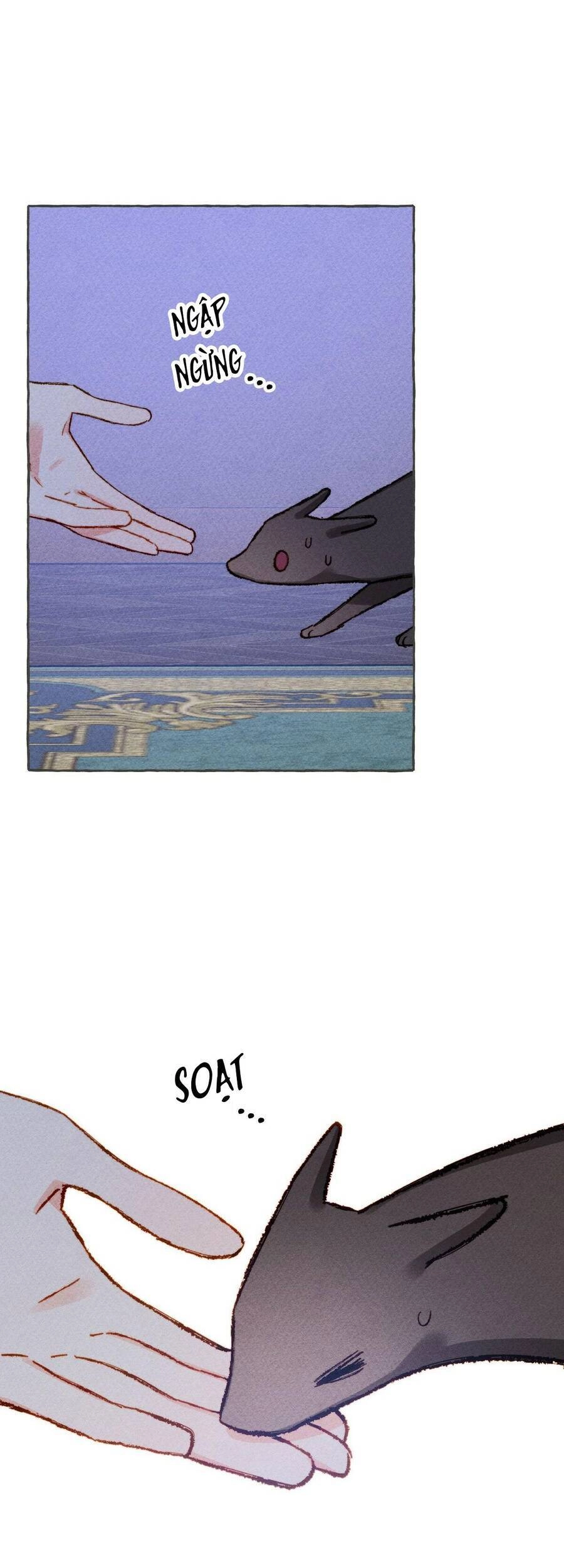 Nuôi Dưỡng Một Hắc Long Chapter 10 - 38