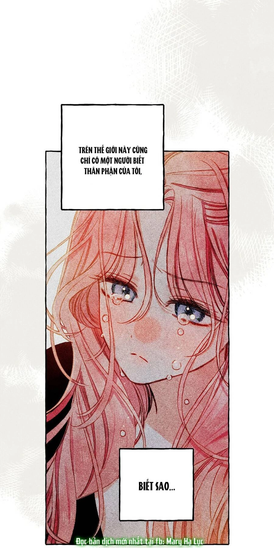 Nuôi Dưỡng Một Hắc Long Chapter 36.2 - 3