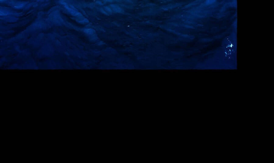 Nuôi Dưỡng Một Hắc Long Chapter 41 - 53