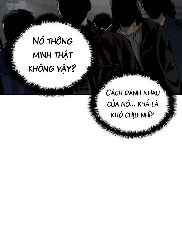 Anh Hùng Yếu Chapter 252 - 55
