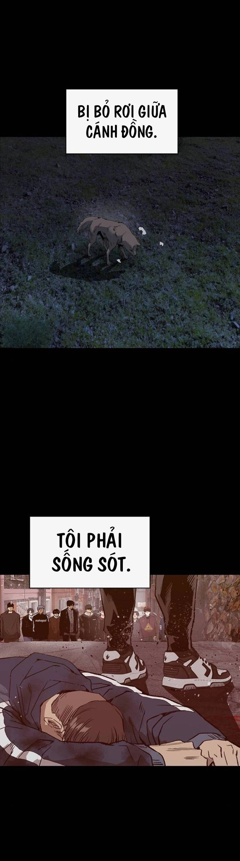 Anh Hùng Yếu Chapter 257 - 2