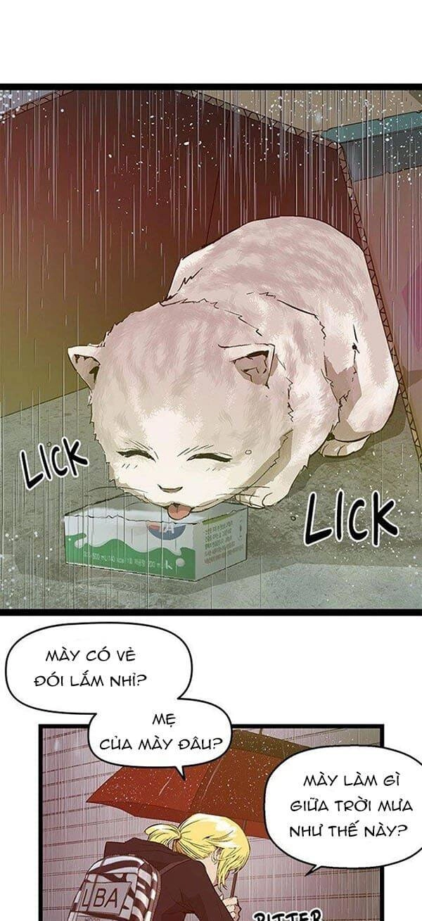 Anh Hùng Yếu Chapter 49 - 16